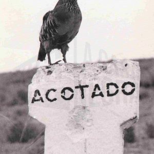 Perdiz disecada sobre el letrero «ACOTADO»