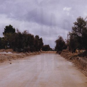 Rehabilitación y reasfaltado del Paseo del Deleite en Aranjuez