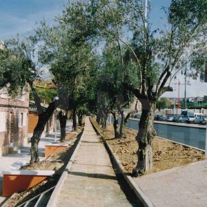 Obras de rehabilitación del Paseo del Deleite en Aranjuez