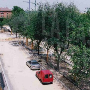 Obras de adecuación de la calzada en la zona de la Fuente de la Reina en Aranjuez