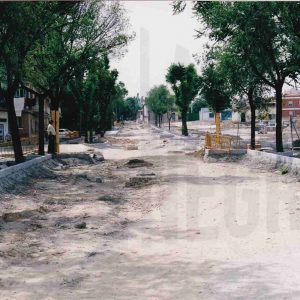 Obras de adecuación de la calzada en la zona de la Fuente de la Reina en Aranjuez