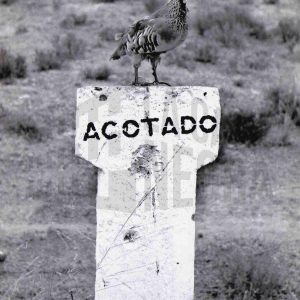 Composición con una perdiz disecada sobre un poste con la leyenda «Acotado»