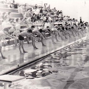 Niños aprendiendo a nadar en la piscina cubierta del Polideportivo Municipal de Aranjuez