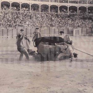 Picador y caballo son derribados por un toro durante una corrida en la Plaza de Toros de Aranjuez