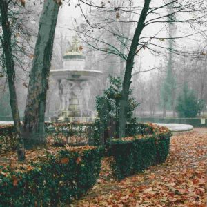 Paseo de acceso a la Fuente de Narciso en el Jardín del Príncipe, en Aranjuez