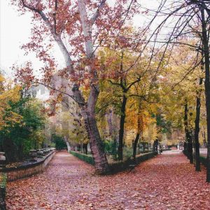 Paisaje otoñal en el Jardín del Príncipe en Aranjuez