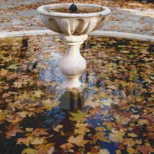 Taza de la Fuente del Anillo (o del Reloj) y su estanque llenos de hojas en el Jardín de la Isla en Aranjuez