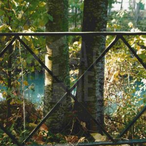 Tronco de árbol junto a la ría del Jardín de la Isla, en Aranjuez