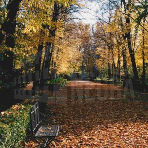 Calle de Apolo  en el Jardín del Príncipe en Aranjuez