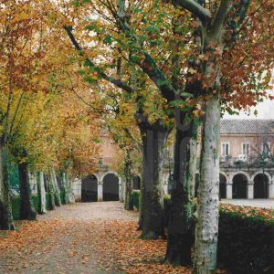 Avenida de Palacio y Casas de Oficios junto a la Plaza de Parejas en Aranjuez
