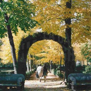 Paseo de acceso a la Fuente de las Harpías (o del Niño de la Espina), en el Jardín de la Isla en Aranjuez