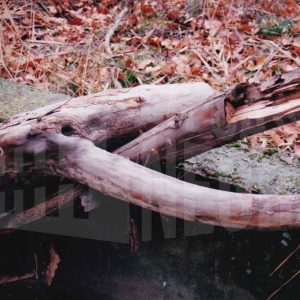 Troncos secos amontonados junto a un murete de hormigón