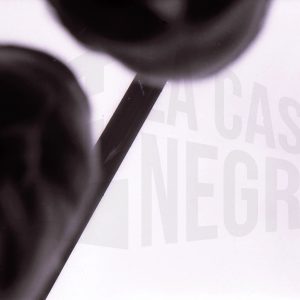 Visión parcial y borrosa de las caras de dos hombres