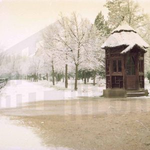 Nevada en la zona del culón del Jardín de la Isla en Aranjuez