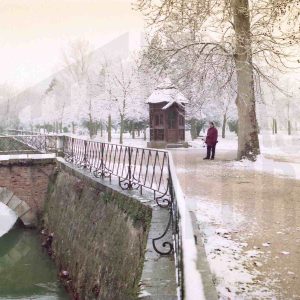 Nevada en el Puente de la Isleta y en la zona del culón del Jardín de la Isla en Aranjuez