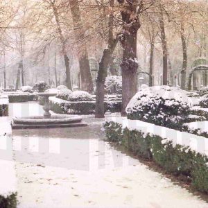 Alrededores de la Fuente del Niño de la Espina (o de las Arpías) del Jardín de la Isla de Aranjuez nevados
