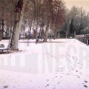 Jardín de la Isla de Aranjuez nevado