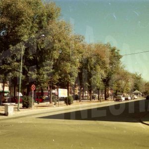 Calzada lateral de la Calle Infantas en Aranjuez