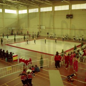 Competición de Gimnasia deportiva en el Polideportivo Agustín Marañón de Aranjuez