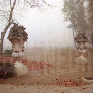 Jarrones de  piedra de la Plaza de Pamplona en el Jardín del Príncipe de Aranjuez entre la niebla