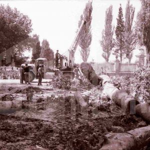 Talado de árboles en la Glorieta de las Doce Calles en Aranjuez