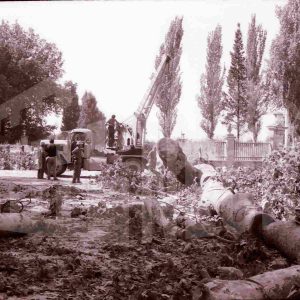 Talado de árboles en la Glorieta de las Doce Calles en Aranjuez