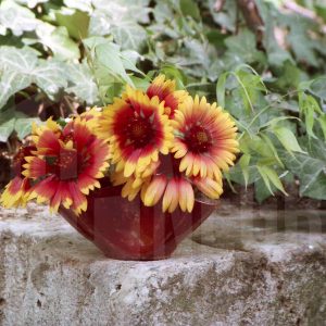 Centro de flores sobre piedra y hiedra