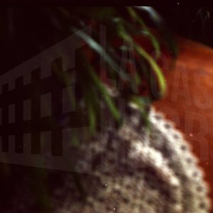 Una planta sobre un tapete en una mesa