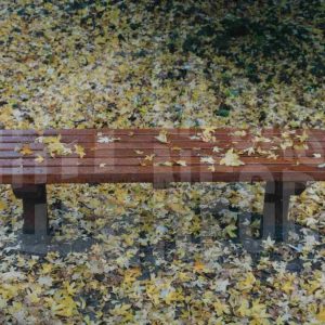 Banco entre hojas caídas en el Jardín del Príncipe de Aranjuez