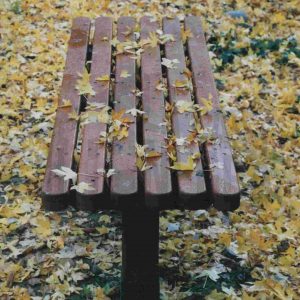 Banco entre hojas caídas en el Jardín del Príncipe de Aranjuez