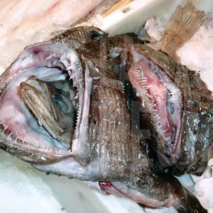 Un pescado asomando por la boca de un rape en una pesacadería