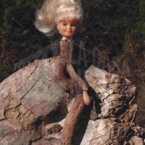 Composición con una cabeza de muñeca y troncos