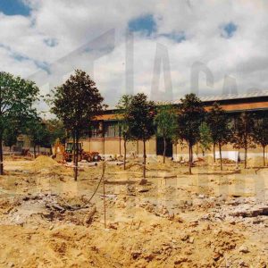 Obras de reforma en la Plaza de la Constitución de Aranjuez junto al Mercado de Abastos