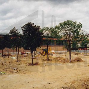 Obras de reforma en la Plaza de la Constitución de Aranjuez junto al Mercado de Abastos