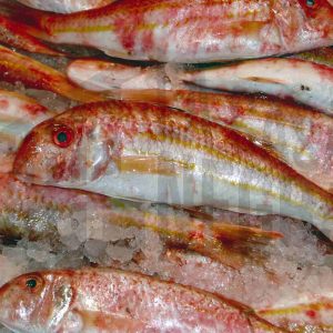 Salmonetes en una pescadería