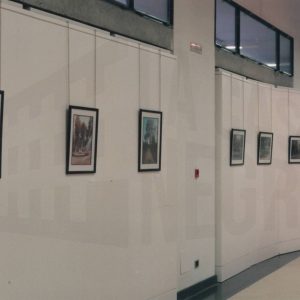 Detalle de las obras de la exposición fotográfica «Jardines» de A.Talavera, en el Centro Cultural Isabel de Farnesio de Aranjuez