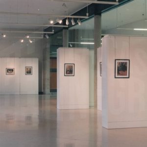 Detalle de las obras de la exposición fotográfica «Jardines» de A.Talavera, en el Centro Cultural Isabel de Farnesio de Aranjuez