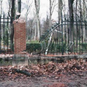Verja del Jardín del Príncipe deteriorada tras caída de árbol, en Aranjuez