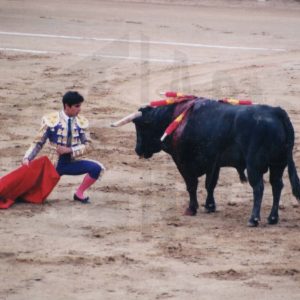 Francisco Rivera Ordóñez en un lance durante la corrida de toros con motivo del bicentenario de la Plaza de Toros de Aranjuez