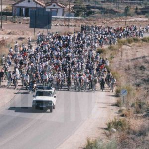 Participantes en el recorrido de la edición xVII del Día de la Bicicleta en Aranjuez