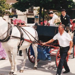 Pareja de novios en coche de caballos en la Plaza de la Constitución en Aranjuez