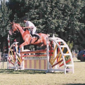 59ª edición del Concurso Nacional Hípico con ocasión de las Fiestas del Motín de 1998 en Aranjuez