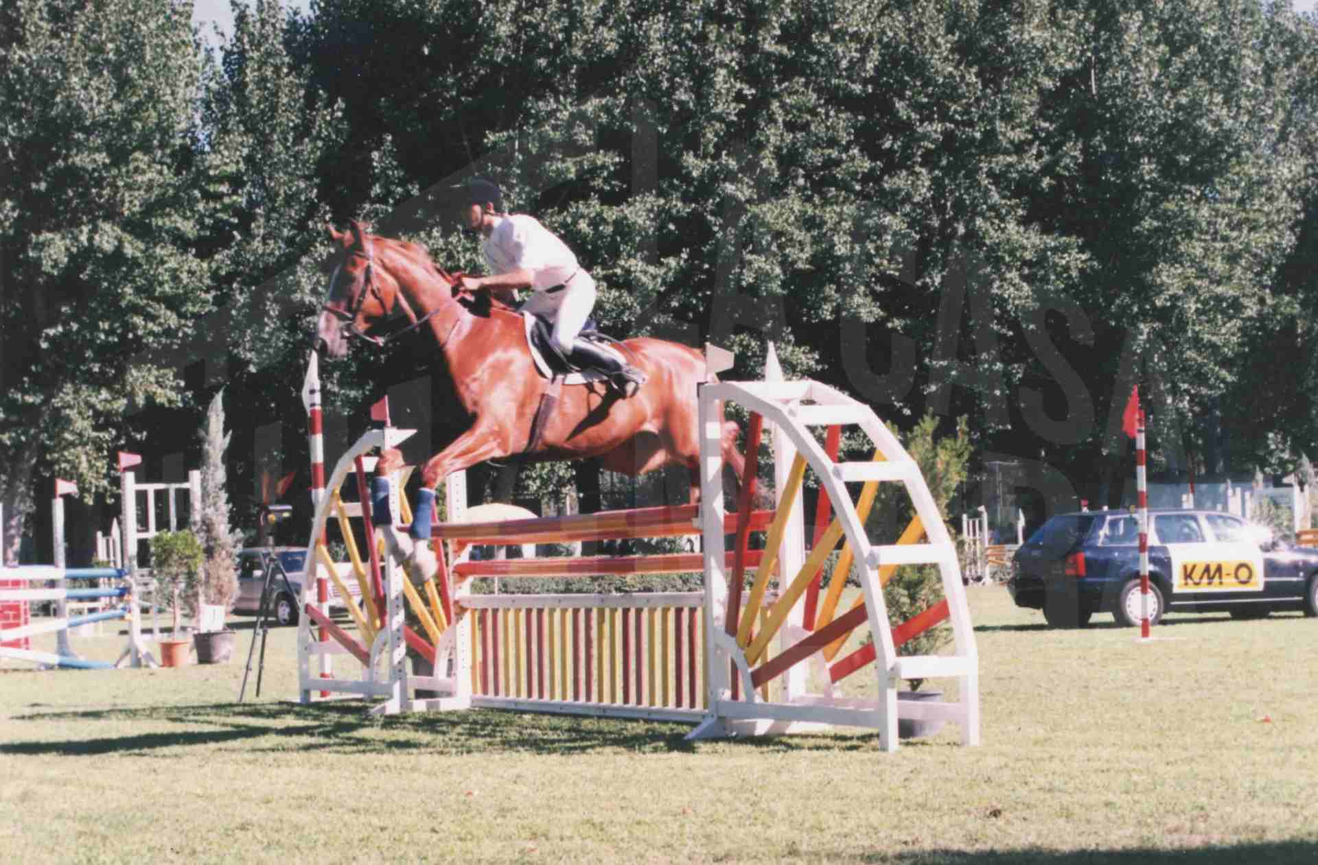 59ª edición del Concurso Nacional Hípico con ocasión de las Fiestas del Motín de 1998 en Aranjuez