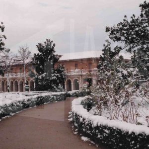 Jardín del Parterre y plaza de San Antonio en Aranjuez tras una nevada