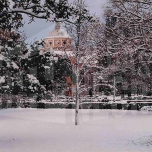 Jardín del Parterre y Palacio Real en Aranjuez tras una nevada