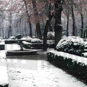 Jardín de la Isla en Aranjuez tras una nevada
