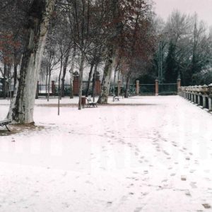 Jardín de la Isla en Aranjuez tras una nevada