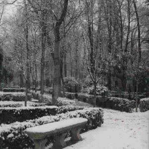 Jardín de la Isla en Aranjuez tras una nevada