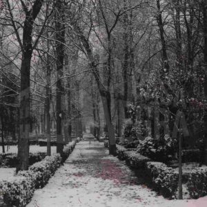 Jardín de la Isla en Aranjuez tras una nevada