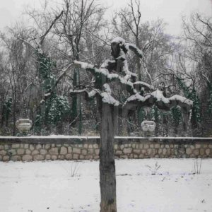 Jardín del Príncipe de Aranjuez tras una nevada